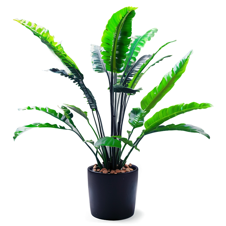 Artificial Plant For Bathroom Png 12 PNG image