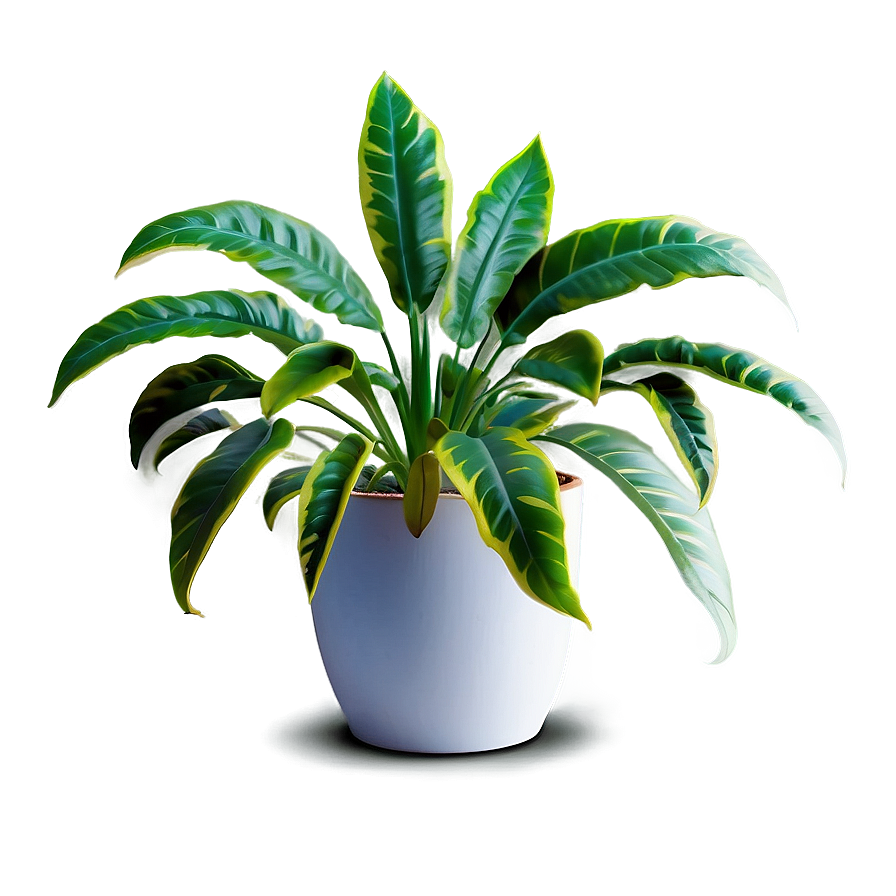 Artistic Floor Plant Png 22 PNG image