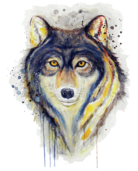 Artistic Wolf Portrait Watercolor PNG image