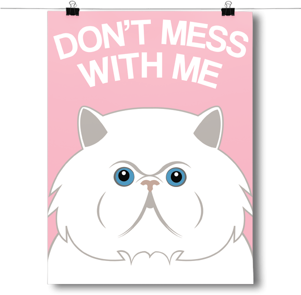 Assertive Persian Cat Poster PNG image