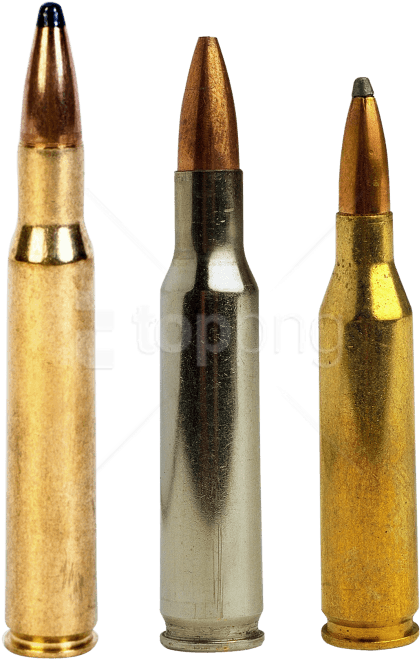 Assorted Ammunition Types PNG image