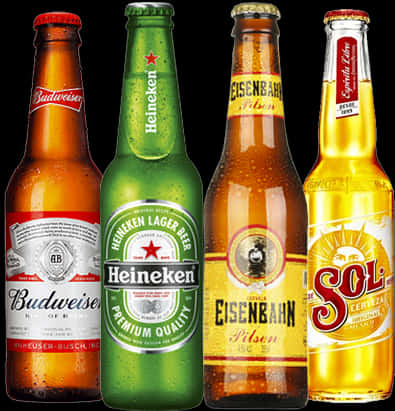 Assorted Beer Bottles Collection PNG image