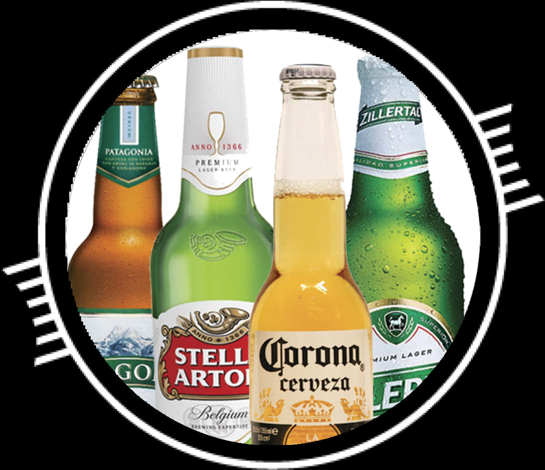 Assorted Beer Bottles Collection PNG image