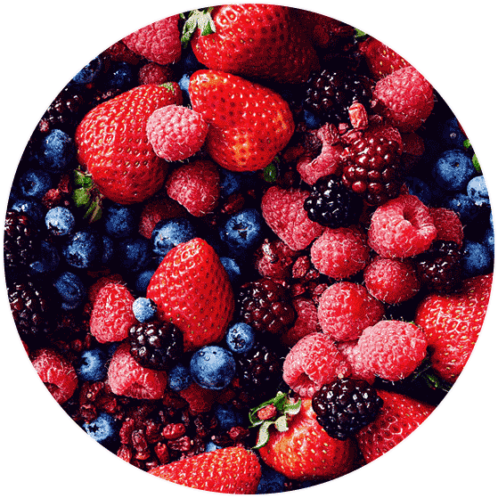 Assorted Berries Top View PNG image