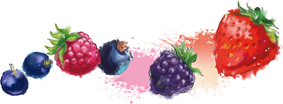 Assorted Berries Watercolor Splash PNG image