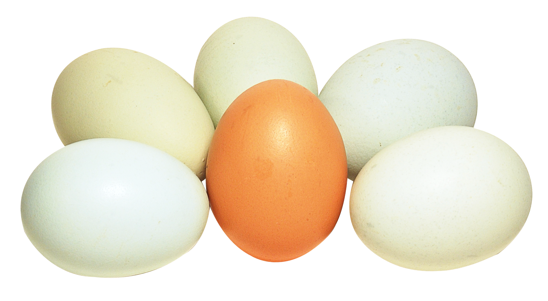 Assorted Chicken Eggs Variety PNG image