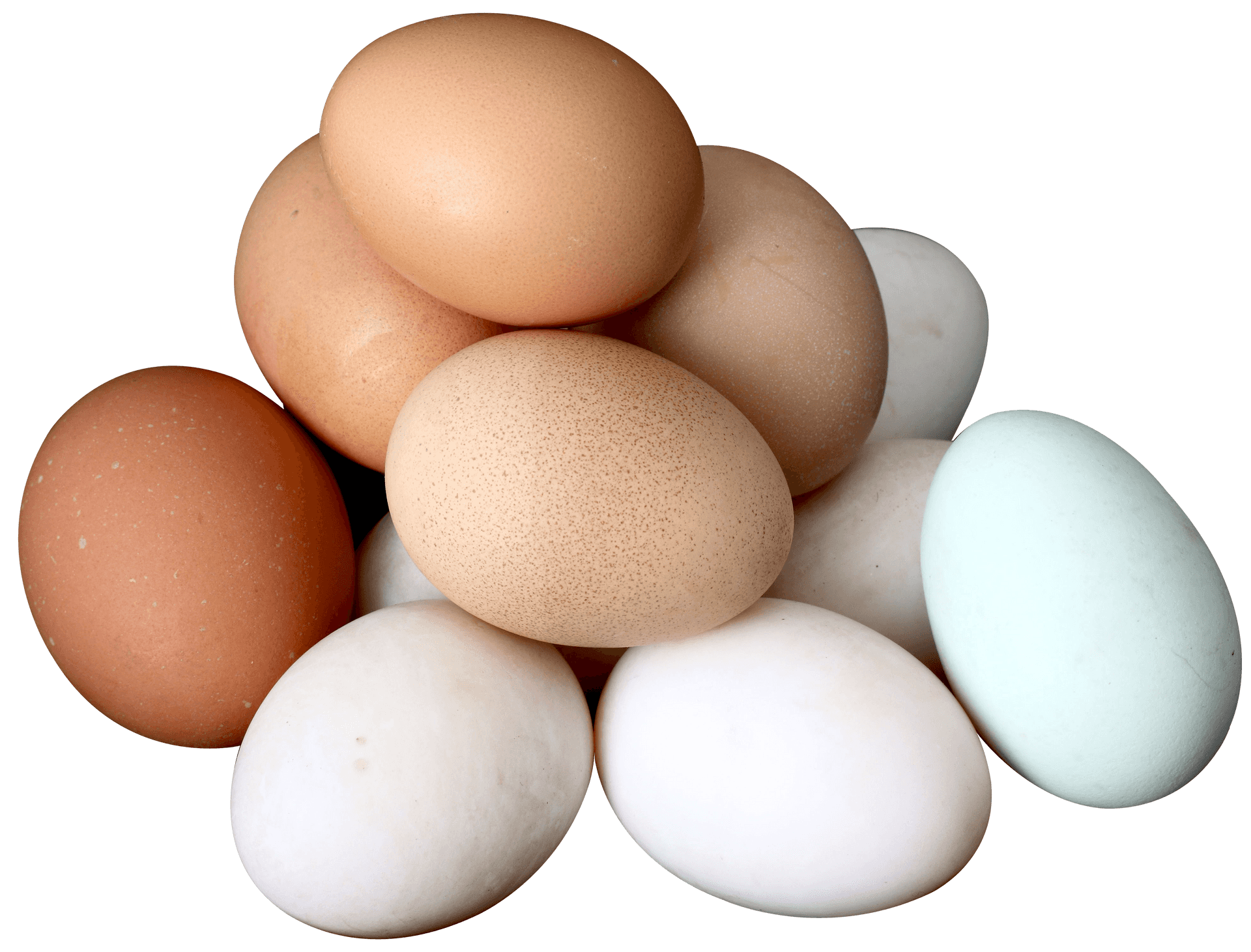 Assorted Chicken Eggs Variety PNG image