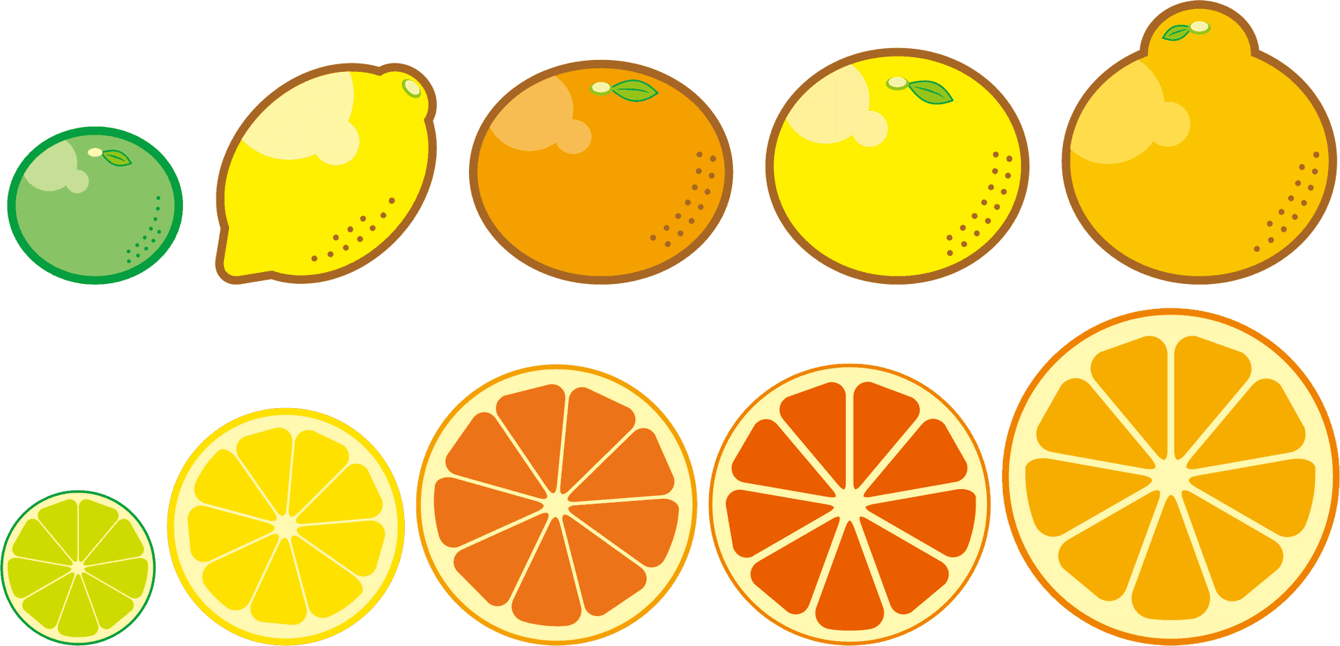 Assorted Citrus Fruits Vector Illustration PNG image