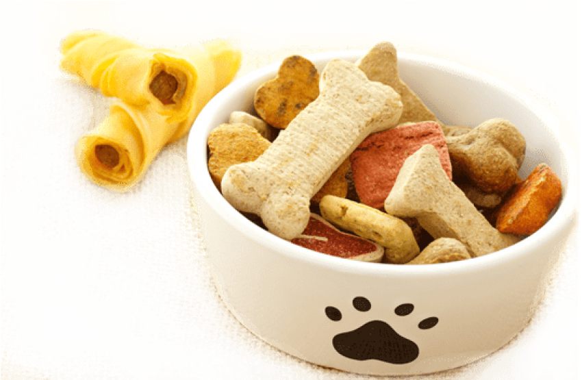 Assorted Dog Treatsand Chews PNG image