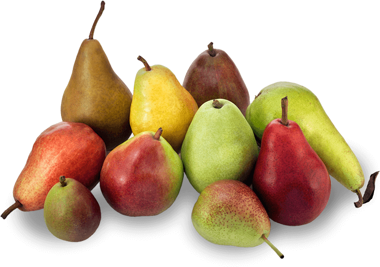 Assorted Fresh Pears Varieties PNG image