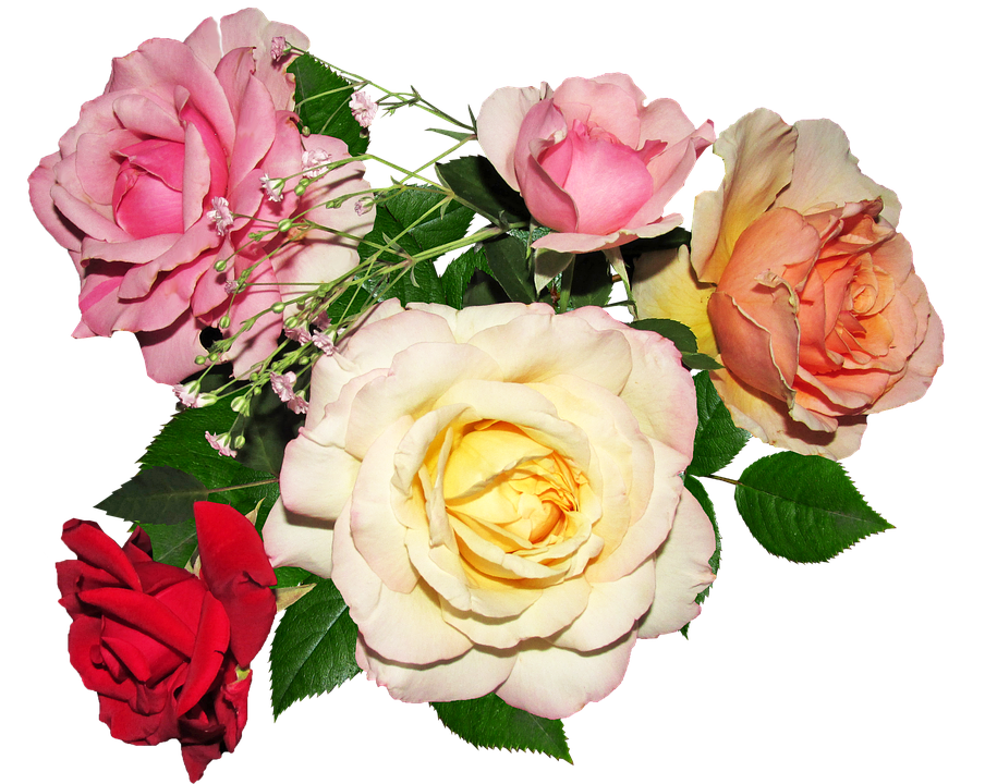 Assorted Roses Bouquet PNG image