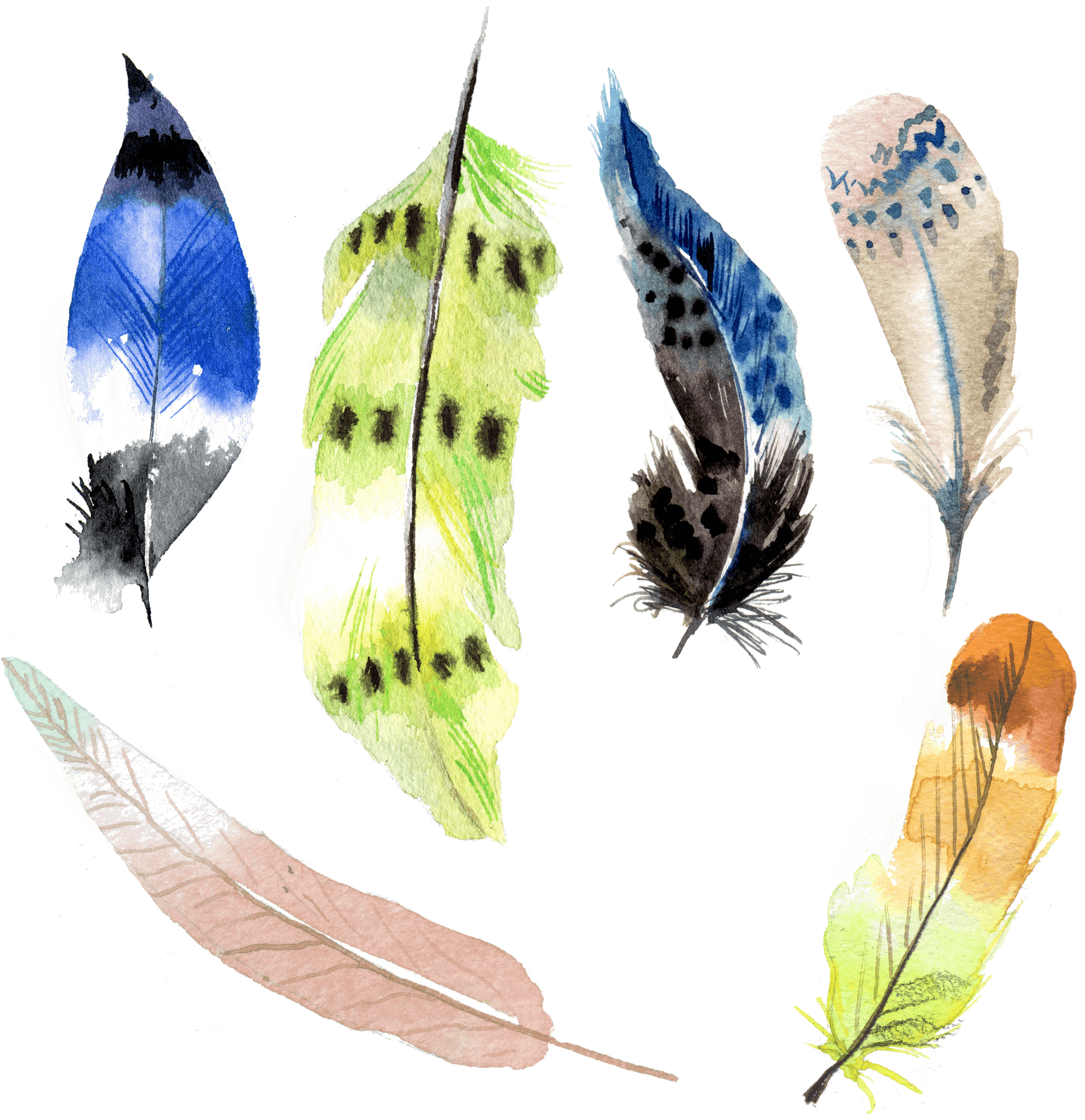 Assorted Watercolor Feathers Illustration PNG image