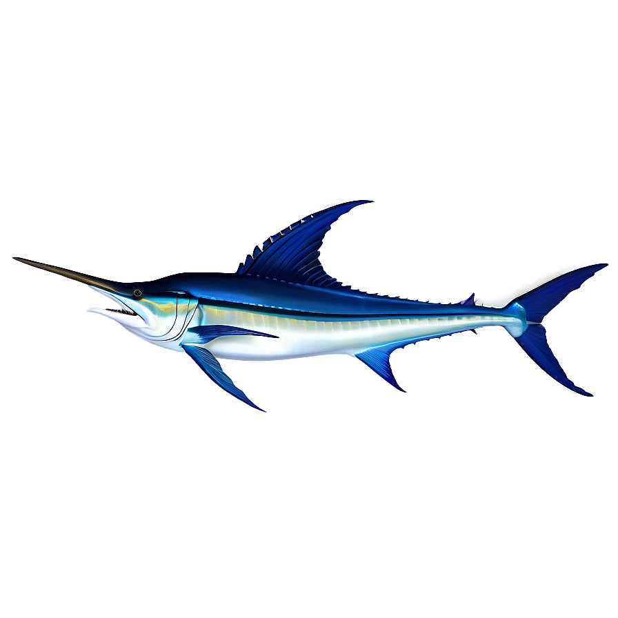 Atlantic Blue Marlin Png Bli PNG image