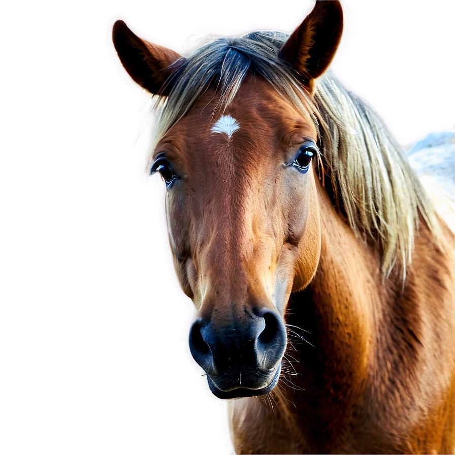 Atmospheric Horse Head Feature Png Dvl PNG image