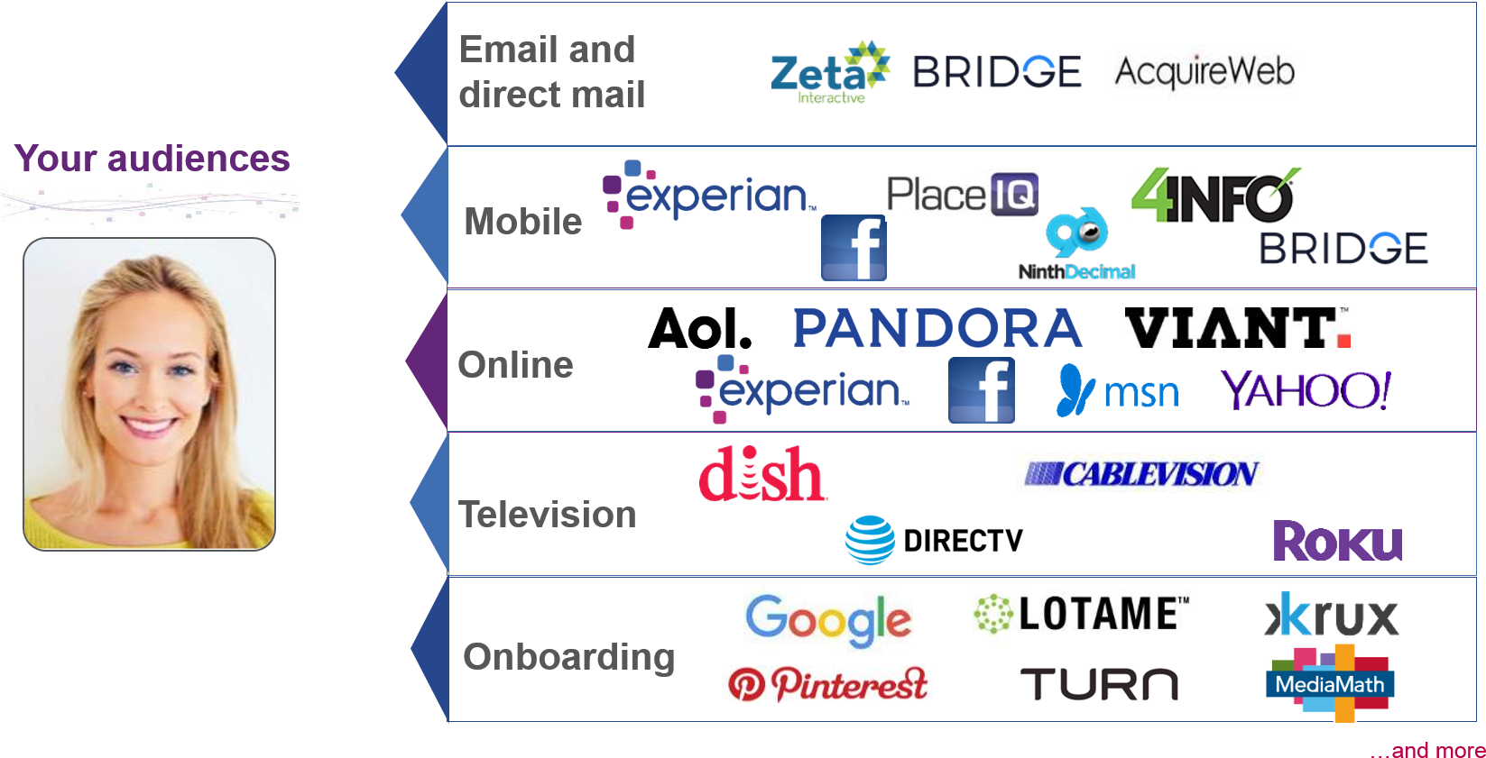 Audience Targeting Platforms Infographic PNG image