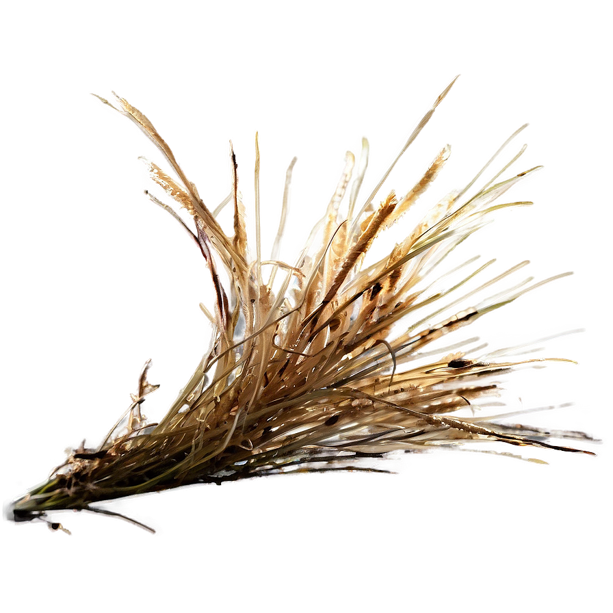 Autumn Dead Grass Png 06282024 PNG image