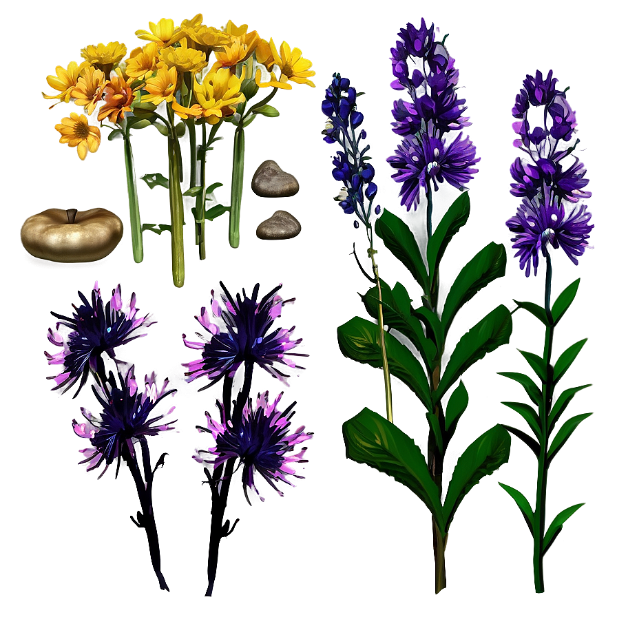 Autumn Garden Flowers Png 06272024 PNG image