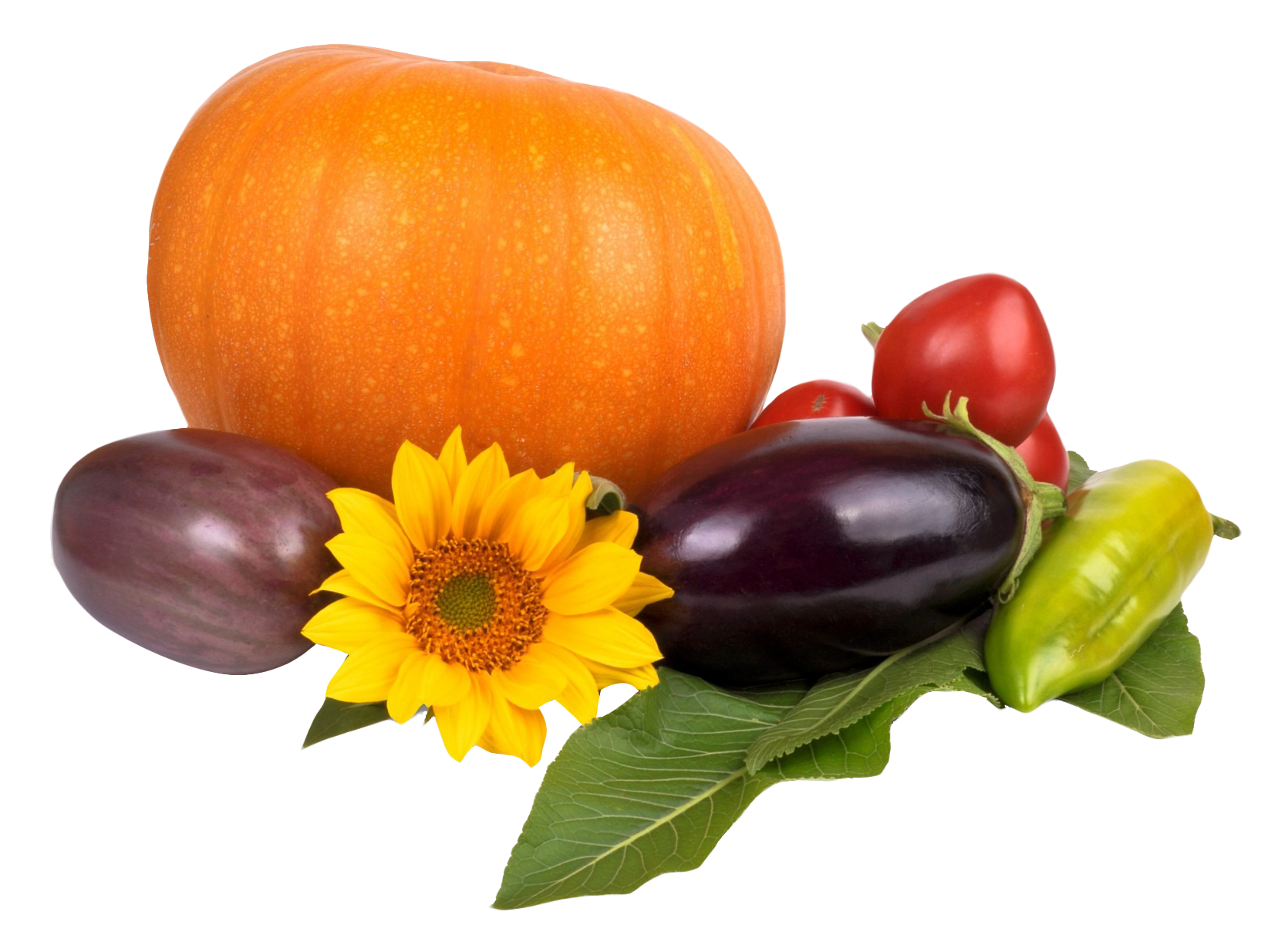 Autumn Harvest Pumpkinand Vegetables PNG image