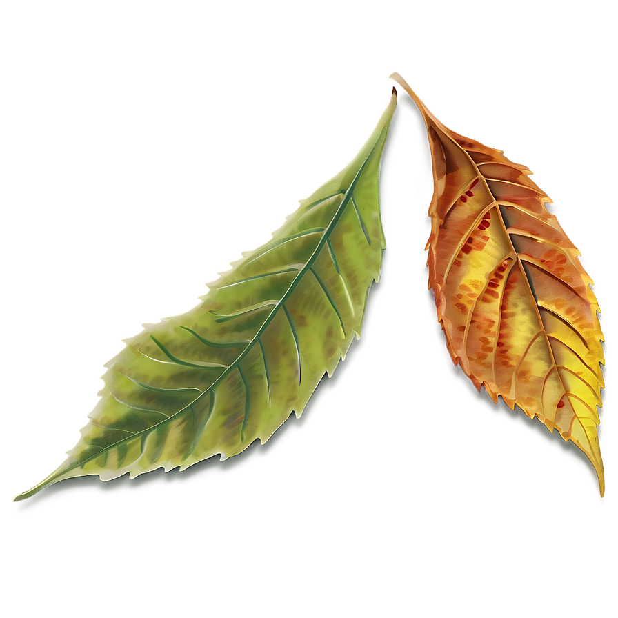 Autumn Leaf Png Opi PNG image