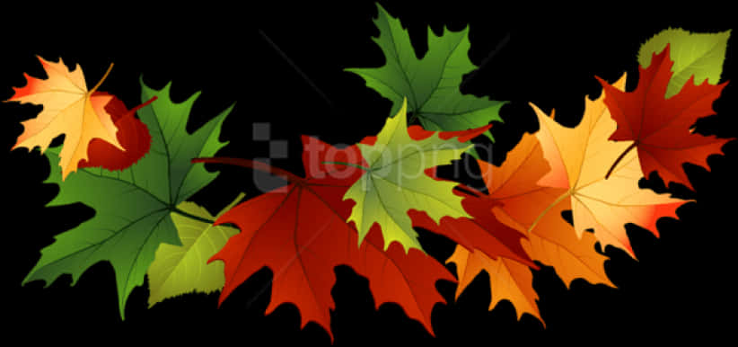 Autumn_ Leaves_ Against_ Black_ Background PNG image