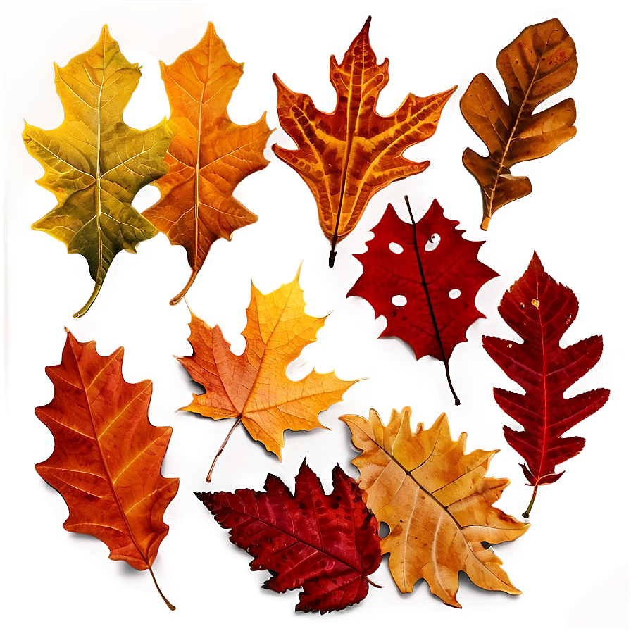 Autumn Leaves Background Png Erw3 PNG image