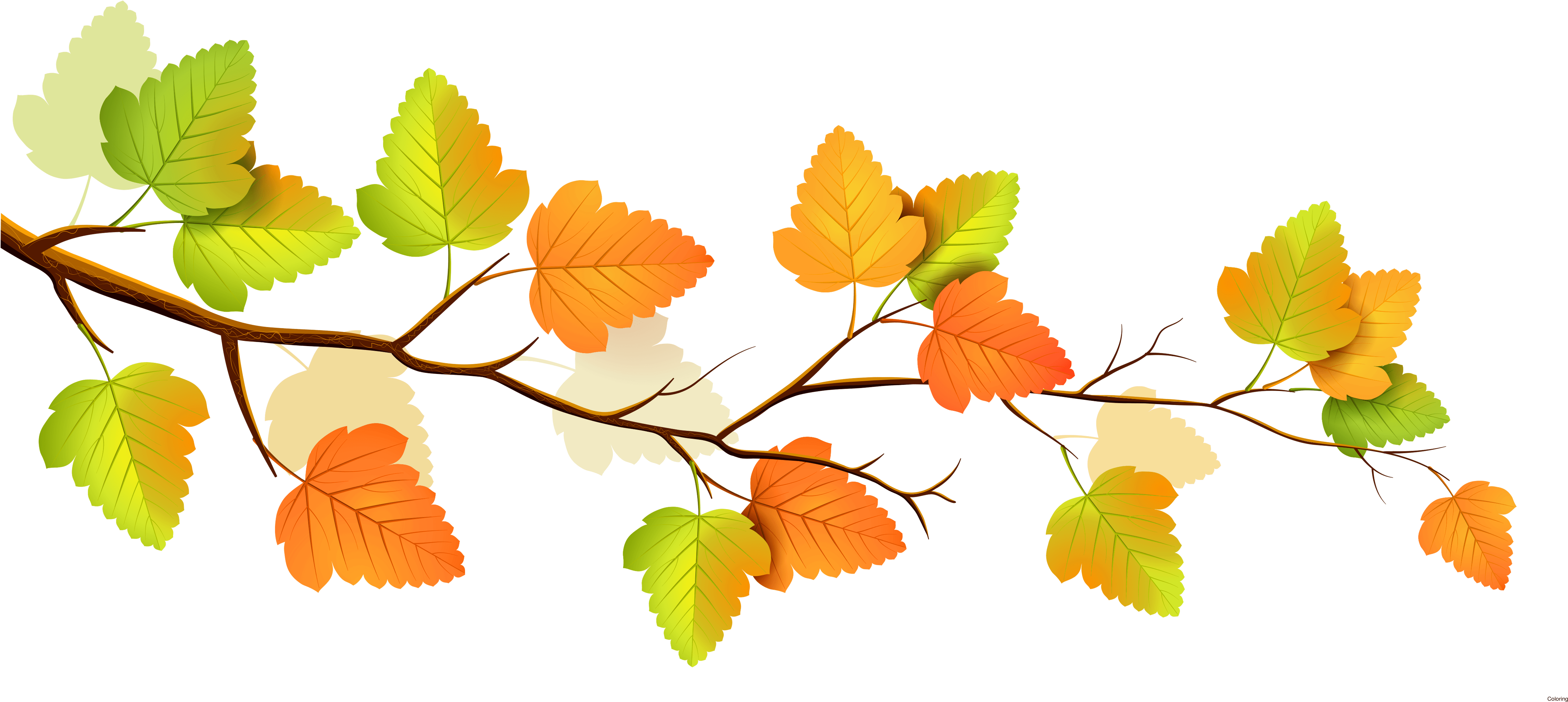 Autumn Leaves Branch Illustration PNG image