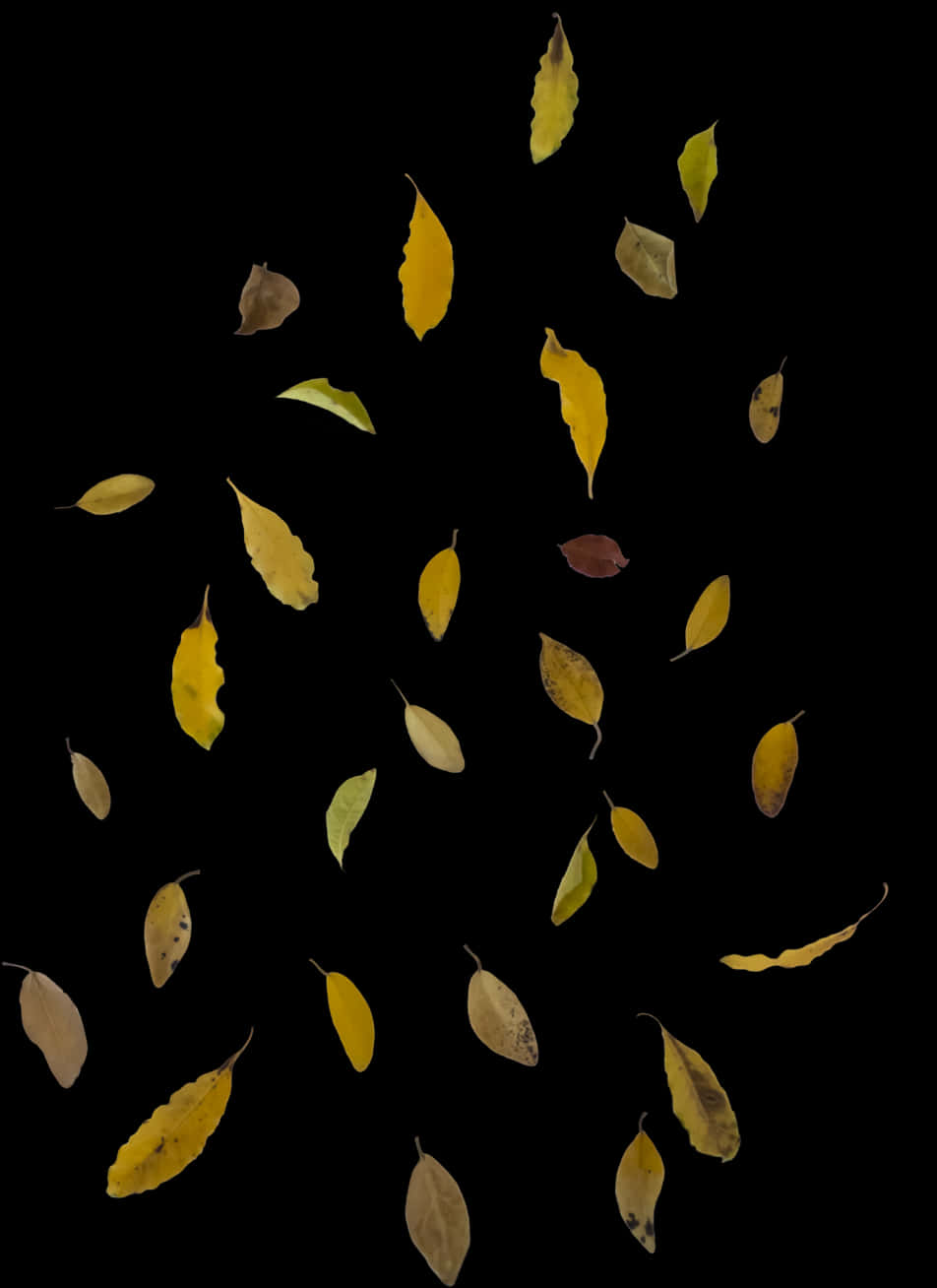 Autumn Leaves Falling Against Dark Background.jpg PNG image
