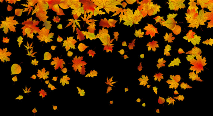 Autumn Leaves Falling Black Background PNG image