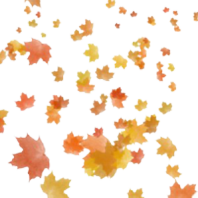 Autumn Leaves Falling Pattern PNG image