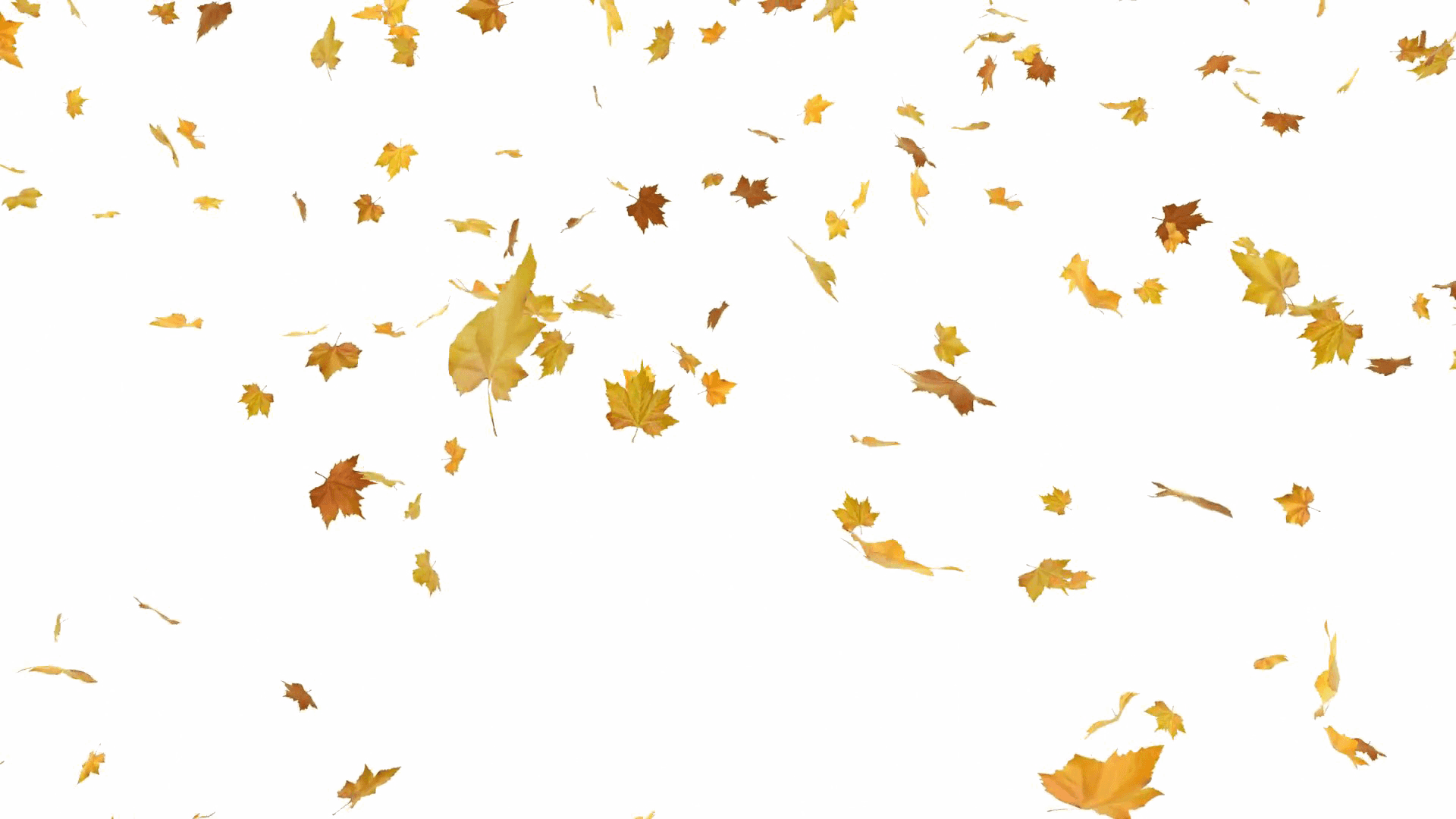 Autumn_ Leaves_ Falling_ Pattern PNG image