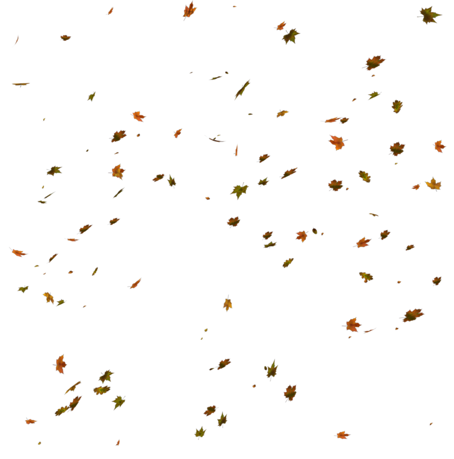 Autumn Leaves Falling Sky Background PNG image