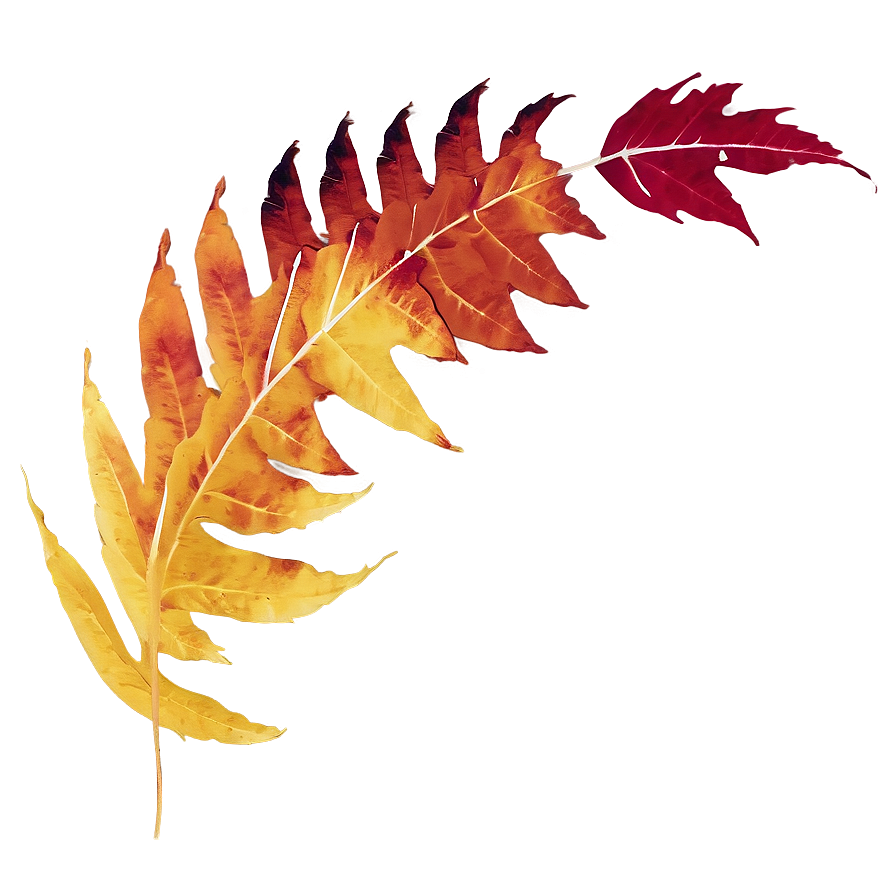 Autumn Leaves In Wind Png Egy PNG image