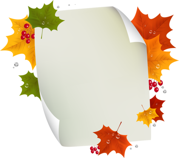Autumn Leaves Paper Frame PNG image