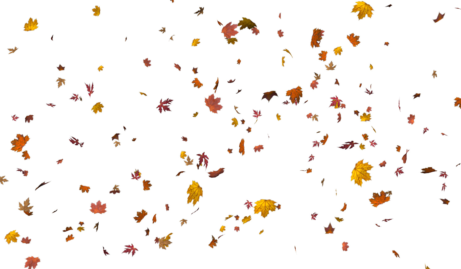 Autumn Leaves Pattern Background PNG image