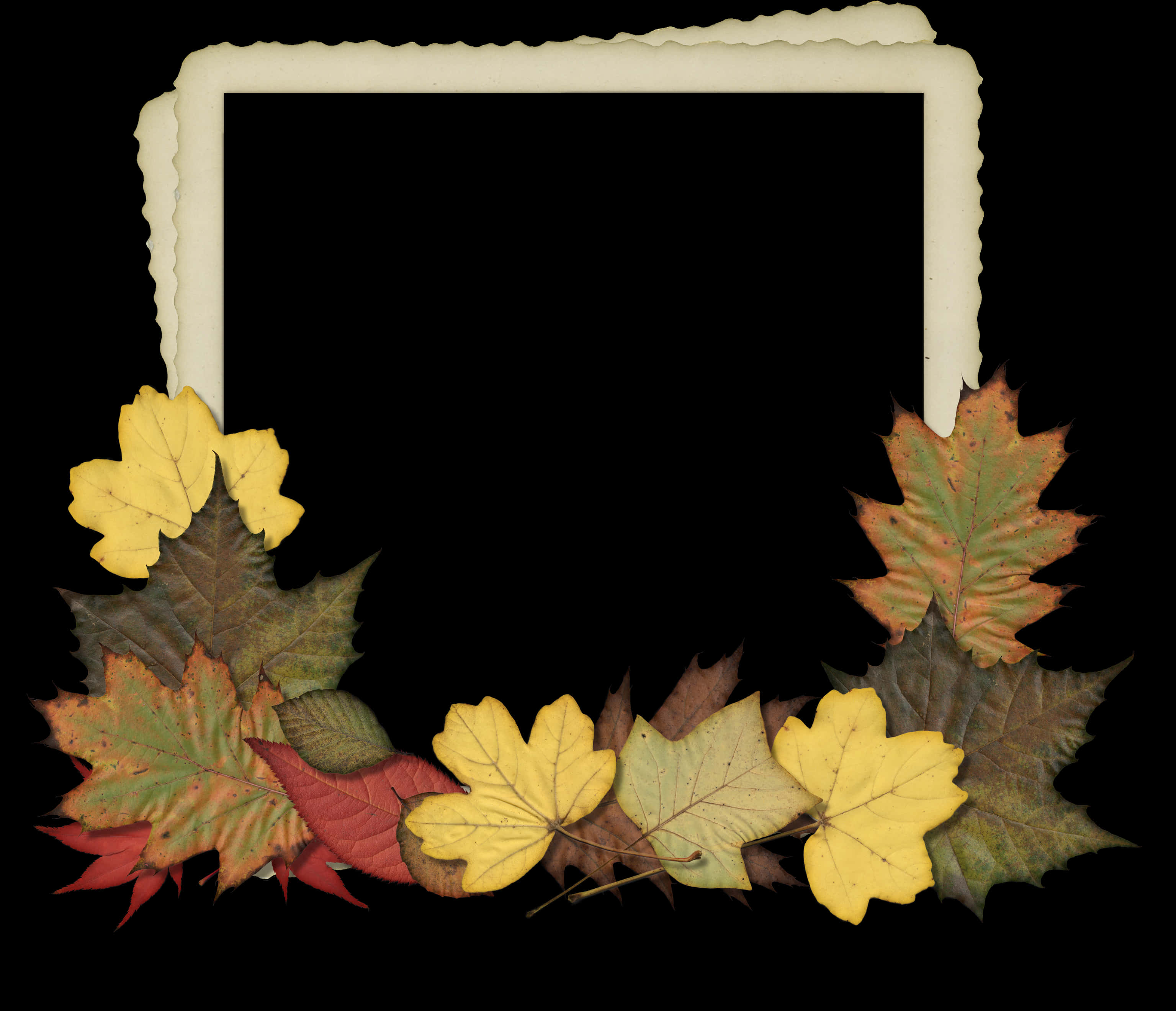 Autumn Leaves Photo Frame Design PNG image