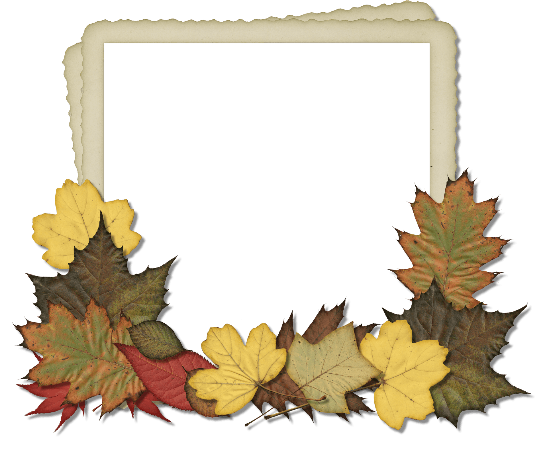 Autumn Leaves Photo Frame PNG image