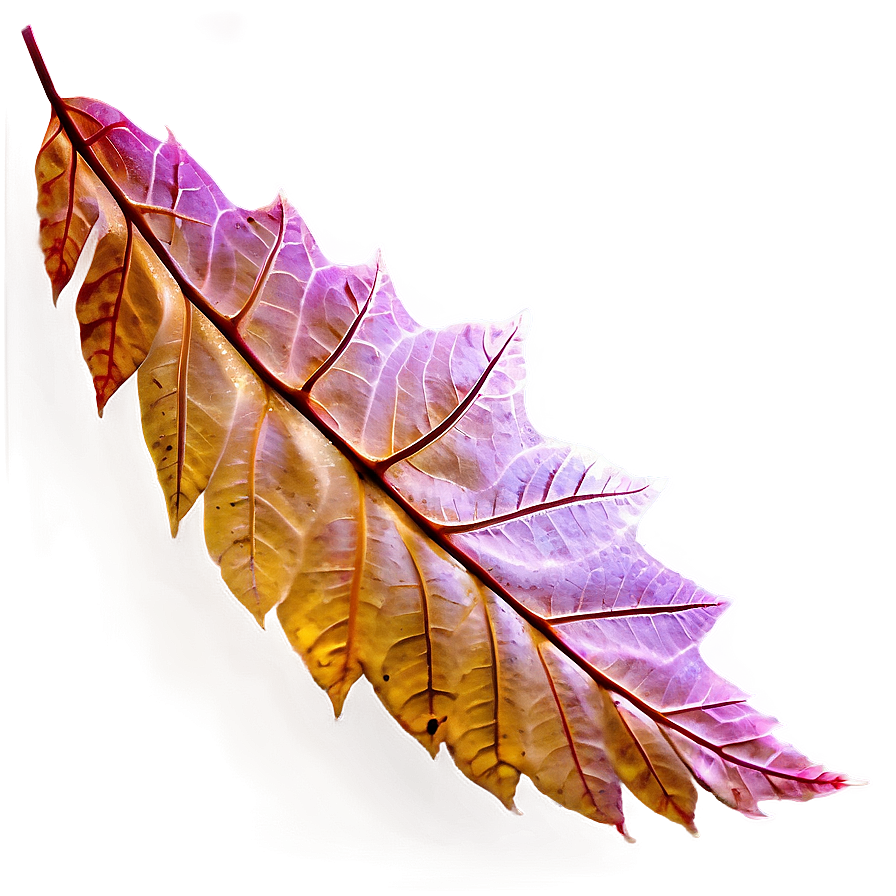 Autumn Leaves Png 44 PNG image