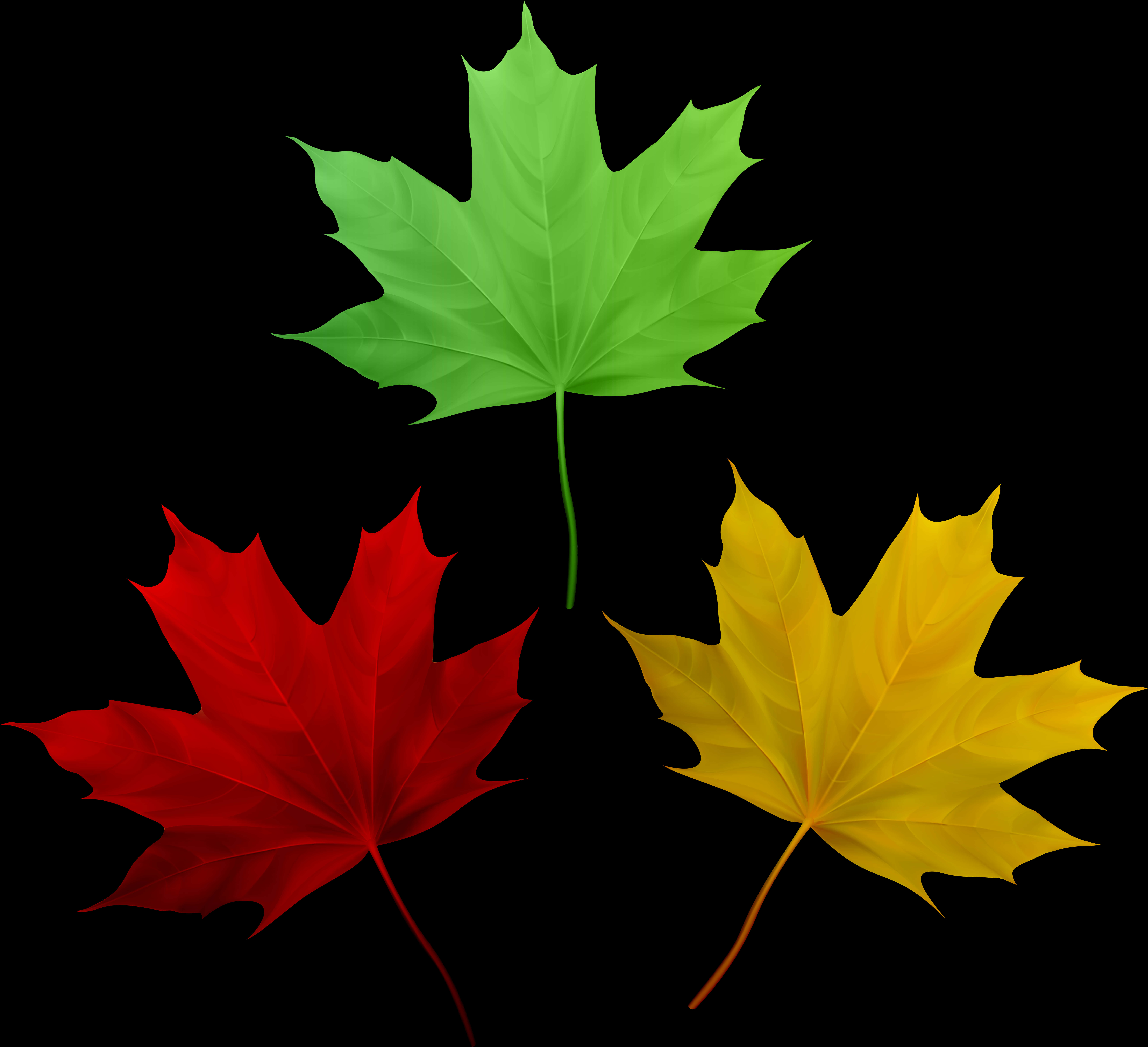 Autumn_ Leaves_ Triptych PNG image