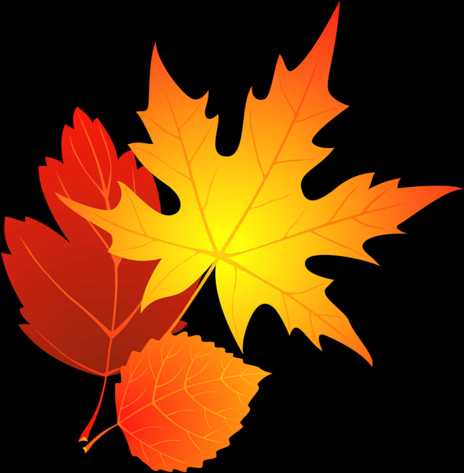 Autumn_ Leaves_ Vector_ Graphic PNG image