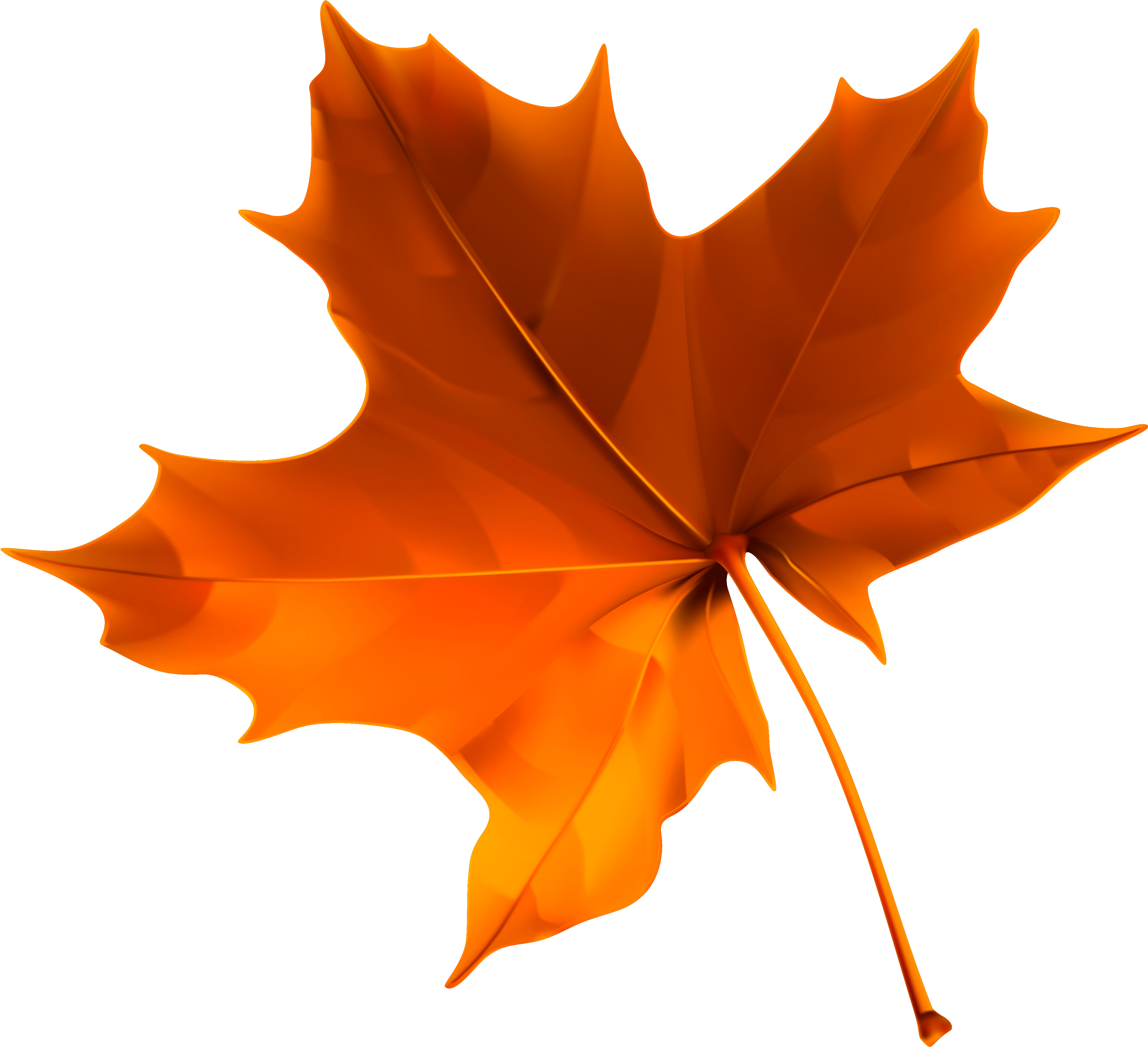 Autumn Maple Leaf Isolated PNG image