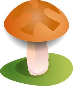 Autumn Mushroom Vector Illustration PNG image