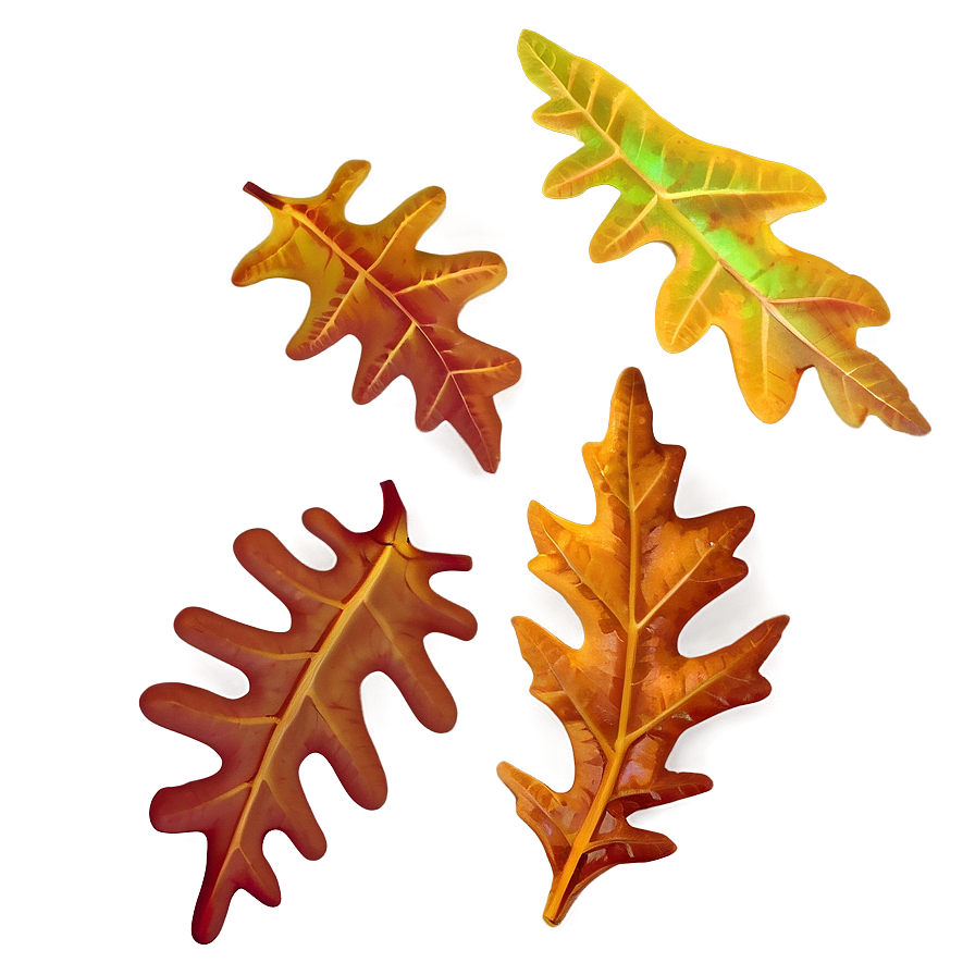 Autumn Oak Leaves Png 06262024 PNG image