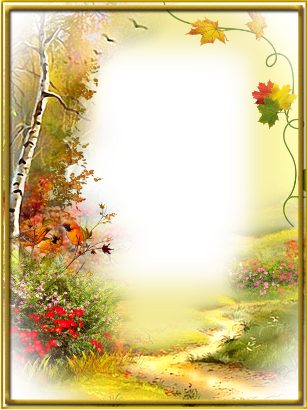 Autumn Pathway Frame PNG image