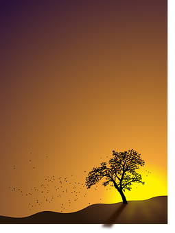 Autumn Sunset Silhouette PNG image