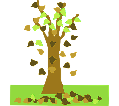 Autumn_ Tree_ Illustration PNG image