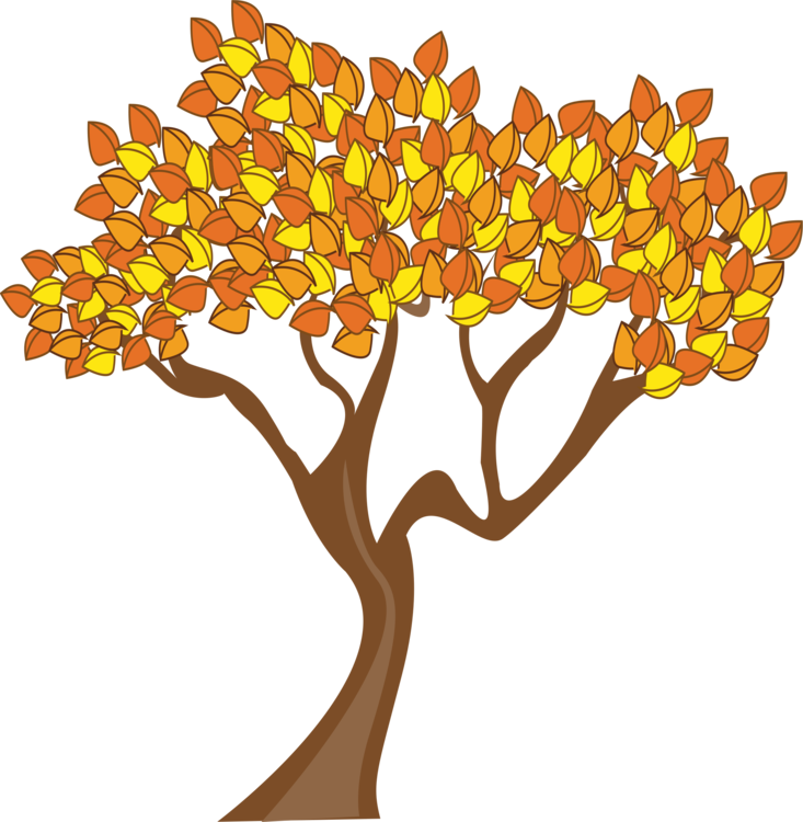 Autumn Tree Illustration PNG image