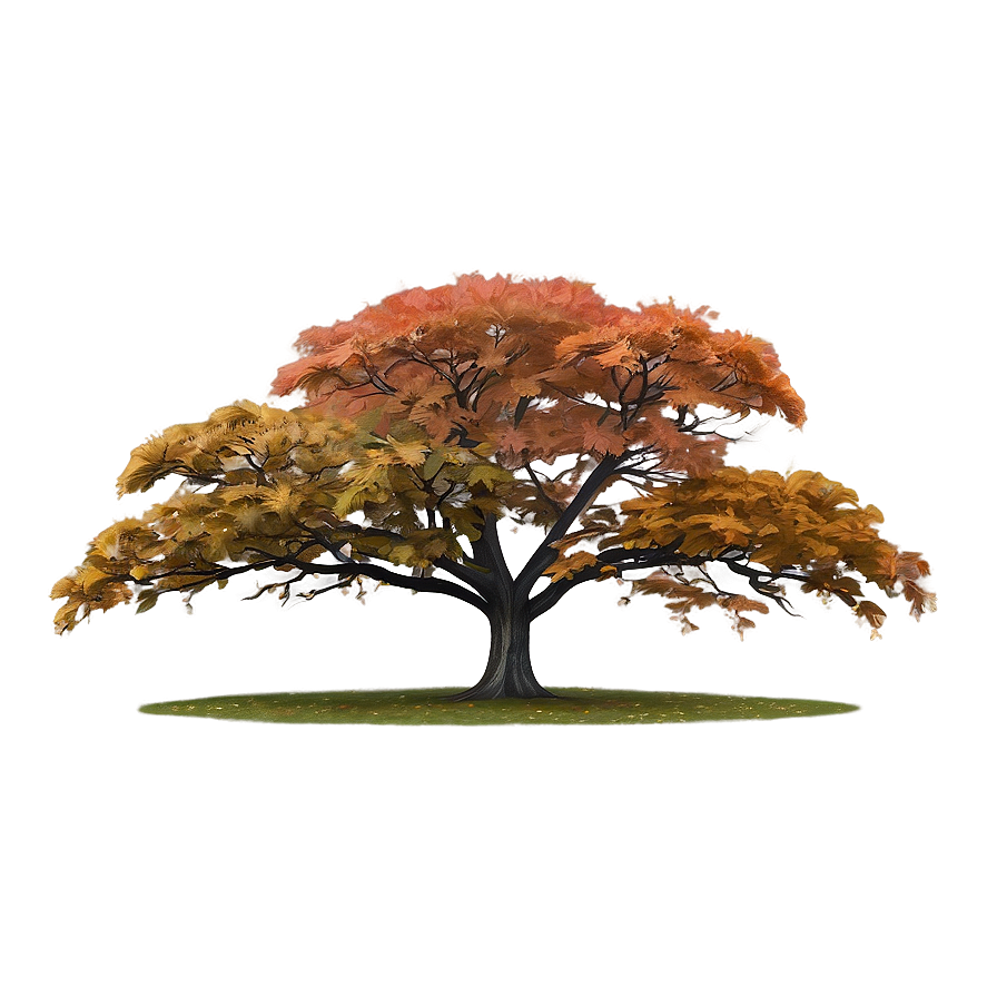 Autumn Tree In Mist Png 06122024 PNG image