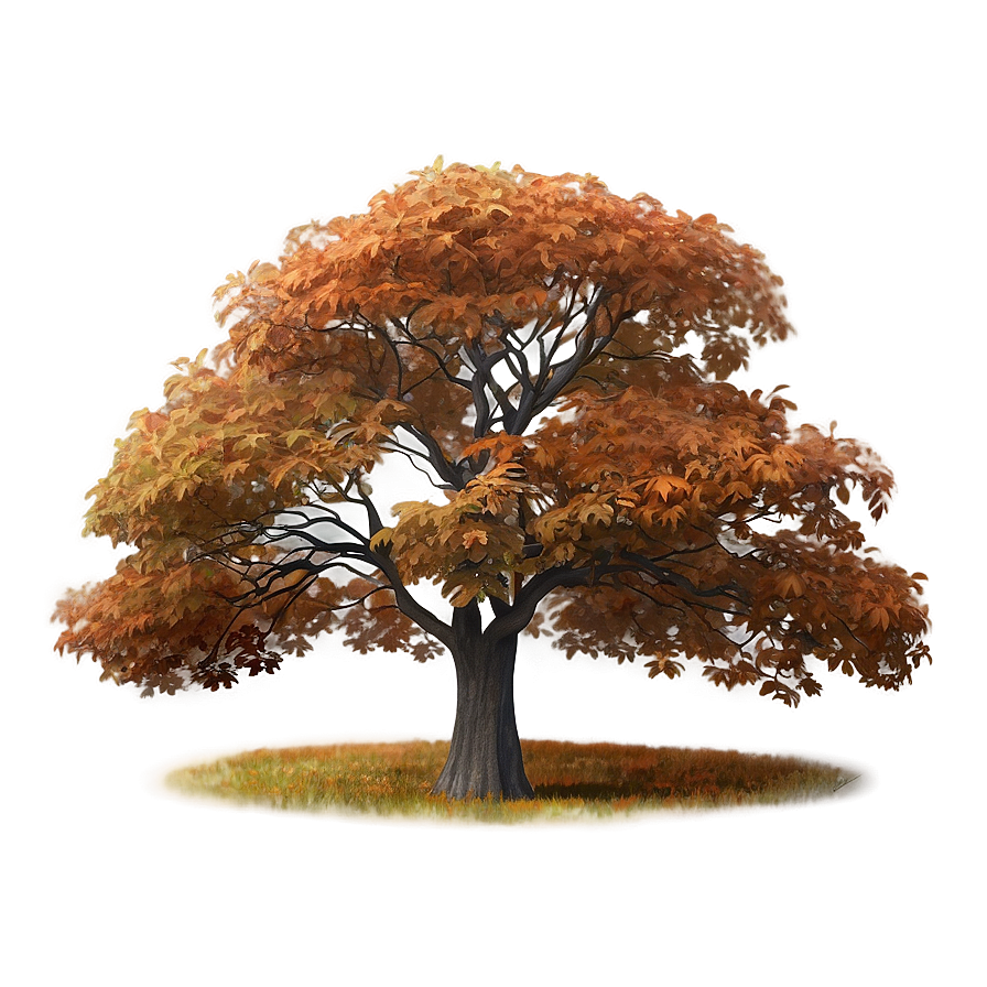 Autumn Tree In Mist Png Hun36 PNG image