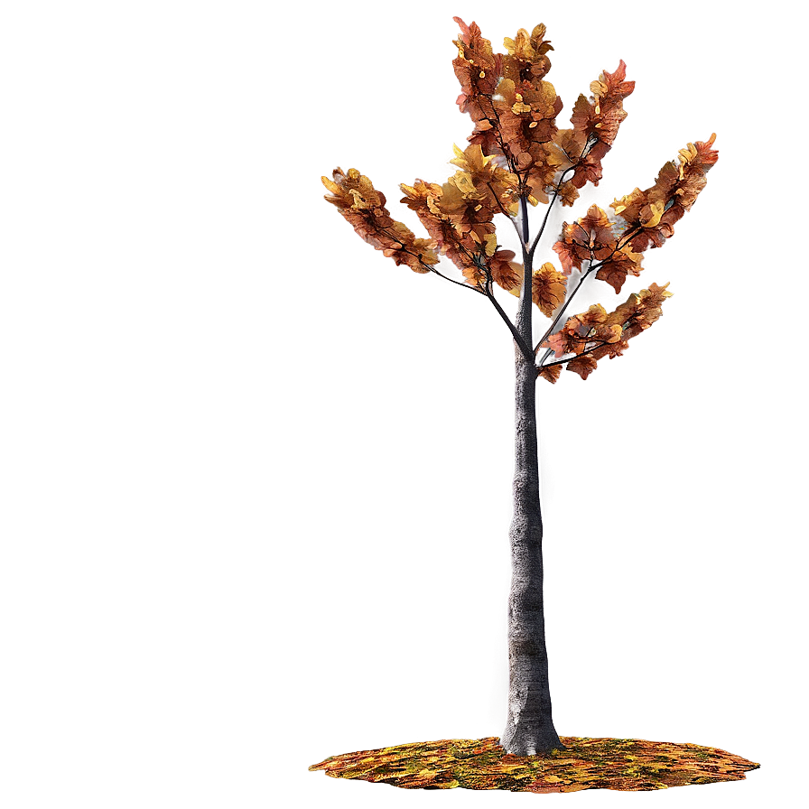 Autumn Tree In Park Png 13 PNG image