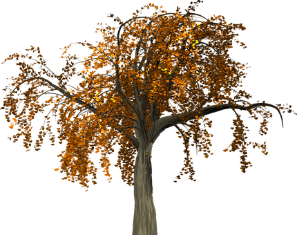 Autumn Tree Nighttime Illustration PNG image